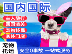 朔州滋润国际宠物托运 【国